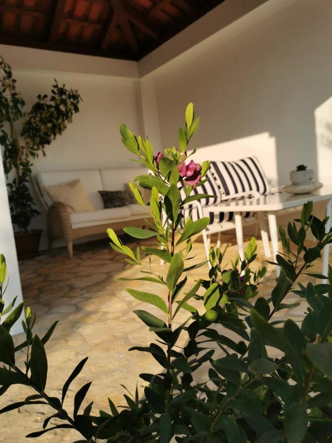Sunset Apartment Orašac Kültér fotó